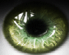 t| Lime Shine Eyes Male