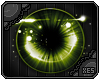 xes� Lucid | Moss
