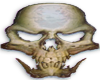 Vampire Skull!