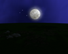 Moonlight Field