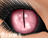 ~Tsu Blush D.Doll Eyes