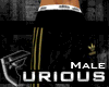 F| Adidas Gold Pants| V3