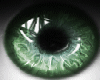t| Light Green Shine M