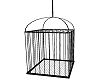 [BE] Exotic Dance Cage