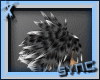 Black White Tip Advent C