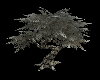 [bu]Winter Tree + Poses