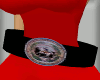 Great Seal Belt