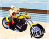 Harley-Davidson*V*poses