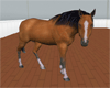 *NA Horse Enhancer