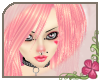 Pink Calla