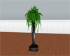 (IKY2) ELEGANT P/P BLACK