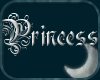 ~M Princess in Silver