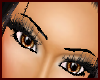 !AFa Thin Fem Eyebrows b
