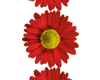 Red Flower Colum