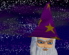 Wizard Hat