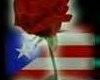 puerto rico flag