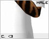 [C]Adidas T
