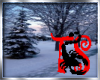 TS 2 Sided Winter Filler