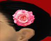 [AN]PinkRose clip