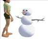 Animated Build A Snowman