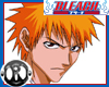 Ichigo Shinigami