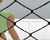 /z/ Photo border CAGE