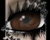 Brown Swirl Eye (F)