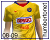 08 - 09 America Jersey