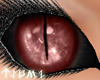 ~Tsu Crimson D.Doll Eyes