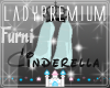 Cinderella Slippers R.D