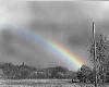 [A]Black & White Rainbow