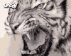 Tiger Guard White