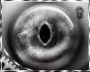 *E Gothic Pride Eyes F*