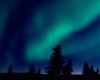 ~K Aurora Borealis