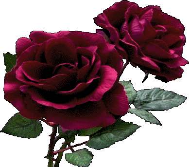sticker_5153791_21580662