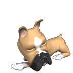 sticker_38696309_184