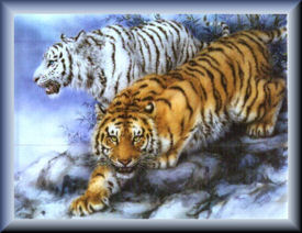 sticker_26056149_39945452