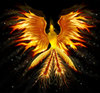 sticker_29732997_41400886
