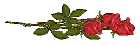 sticker_21284336_47599830