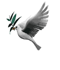sticker_29864454_42133369