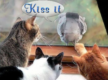 sticker_791853_39296307