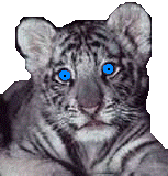 sticker_19114200_46775421