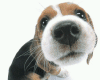 sticker_33136682_47504750