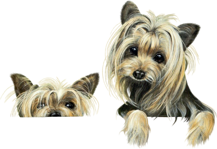 sticker_8796944_46788183