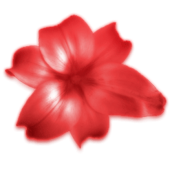 sticker_12514445_47554884