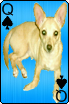 sticker_12602213_30809066