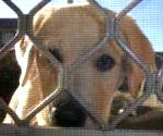 sticker_22202523_30225977