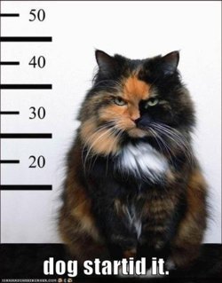 sticker_31558514_44670488