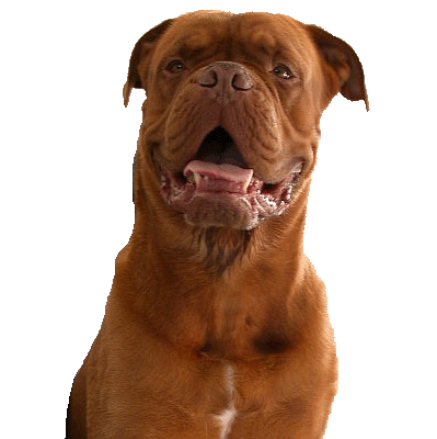 sticker_5569527_42378970