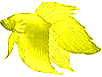 sticker_29732997_47319802
